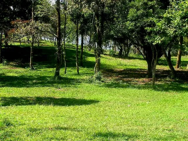 Hacienda Poseidon: 33 acre property overlooking Lake and Volcano Arenal , photo 14