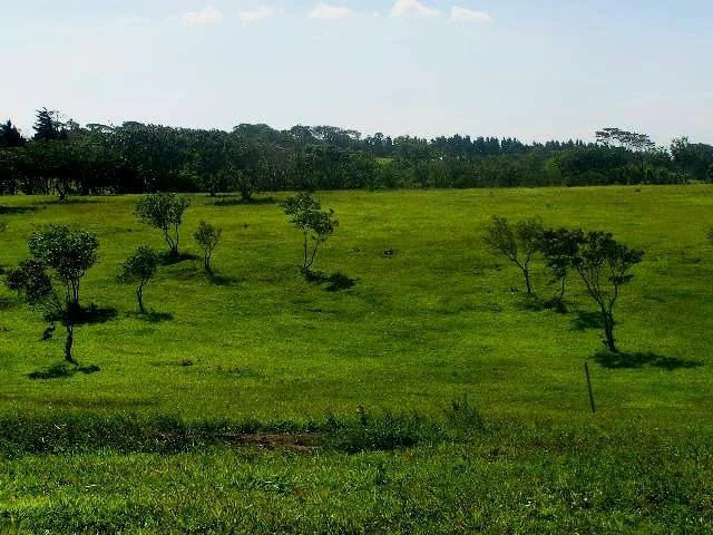 Hacienda Poseidon: 33 acre property overlooking Lake and Volcano Arenal , photo 15