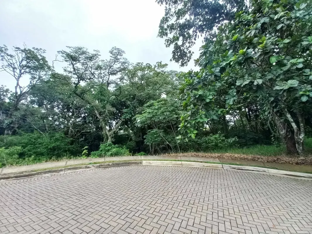 LAND FOR SALE IN CONDOMINIO-LA GUÁCIMA