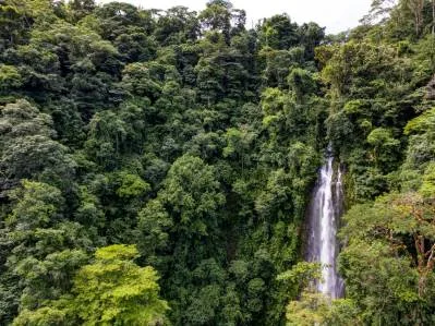 Una finca con cascadas única en la vida en un corredor biológico prístino