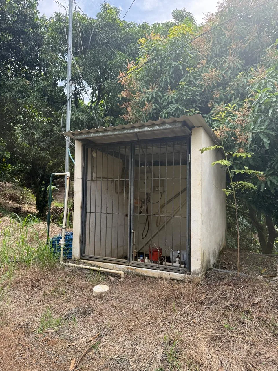 Productive Mango Farm for Sale in Turrubares el Llano, Costa Rica | 62,281 m², photo 15
