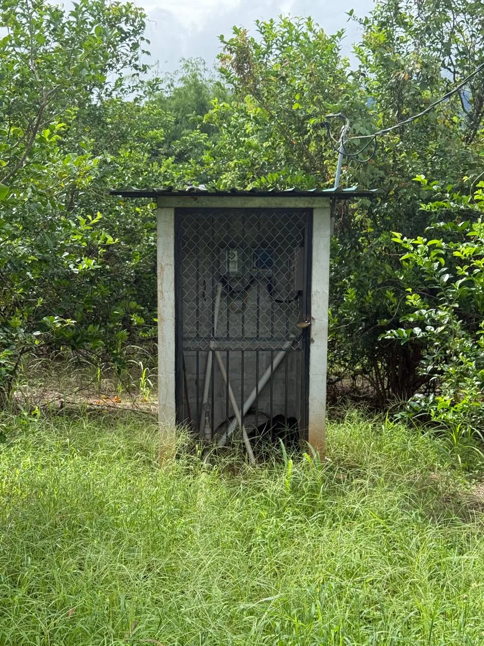 Productive Mango Farm for Sale in Turrubares el Llano, Costa Rica | 62,281 m², photo 18