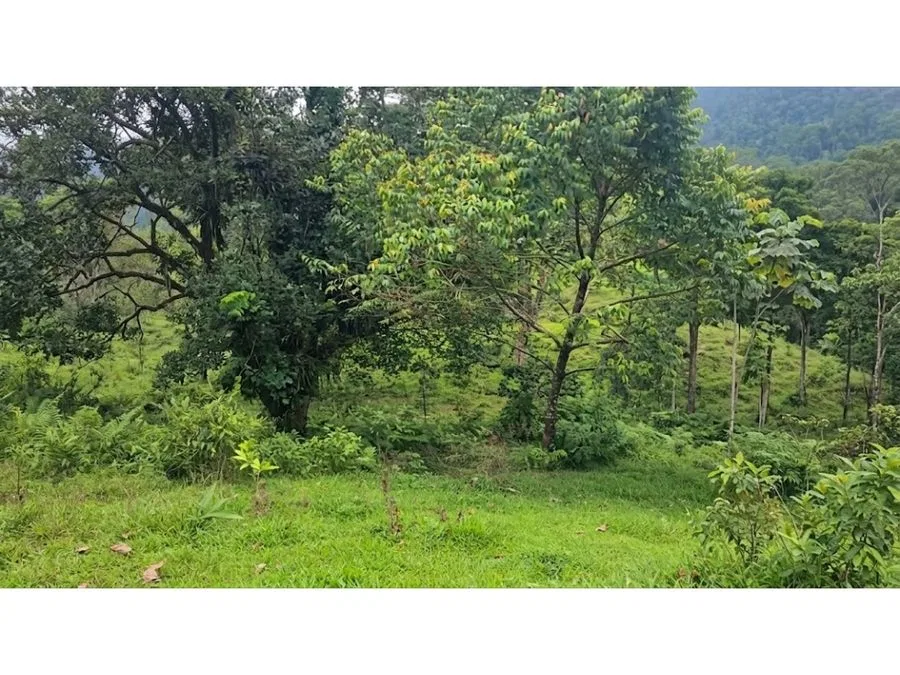 VENTA DE LOTE, RESIDENCIAL Y AGROPECUARIO, HEREDIA, SARAPIQUI