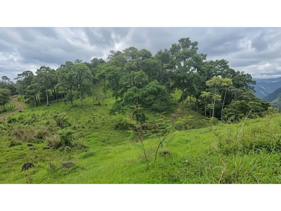 VENTA DE LOTE, RESIDENCIAL Y AGROPECUARIO, HEREDIA, SARAPIQUI, photo 3