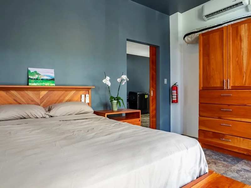 3 Bed Single Family Homes For Sale in Dominical, photo 12
