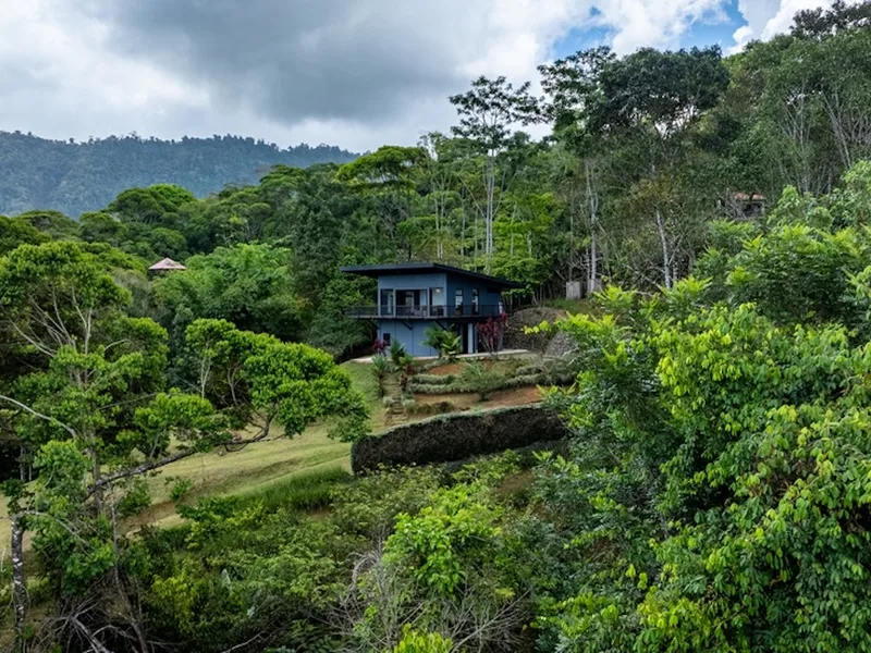 3 Bed Single Family Homes For Sale in Dominical, photo 5
