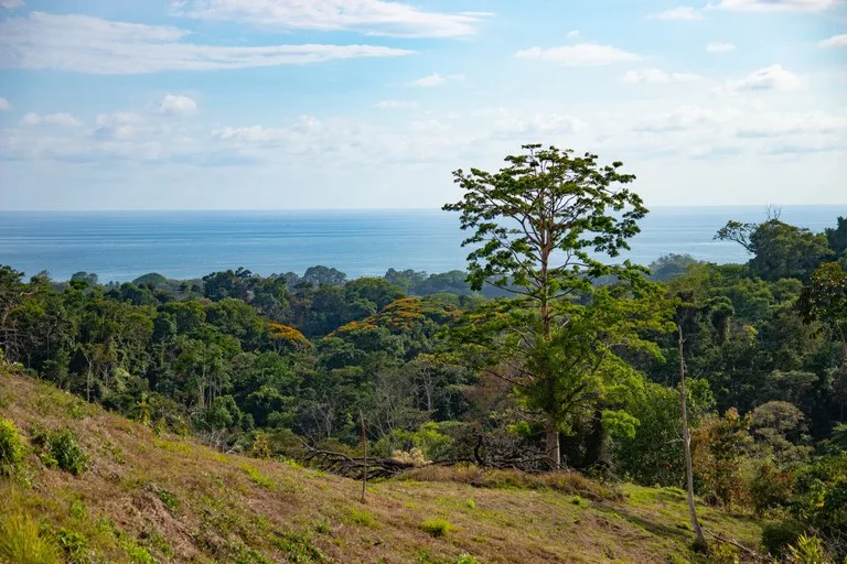 10 ACRES – Rare Ocean View Development Or Estate Property In Uvita – With Waterfall!!!, photo 3