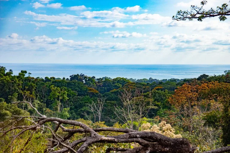 10 ACRES – Rare Ocean View Development Or Estate Property In Uvita – With Waterfall!!!, photo 6