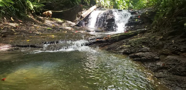 10 ACRES – Rare Ocean View Development Or Estate Property In Uvita – With Waterfall!!!, photo 7