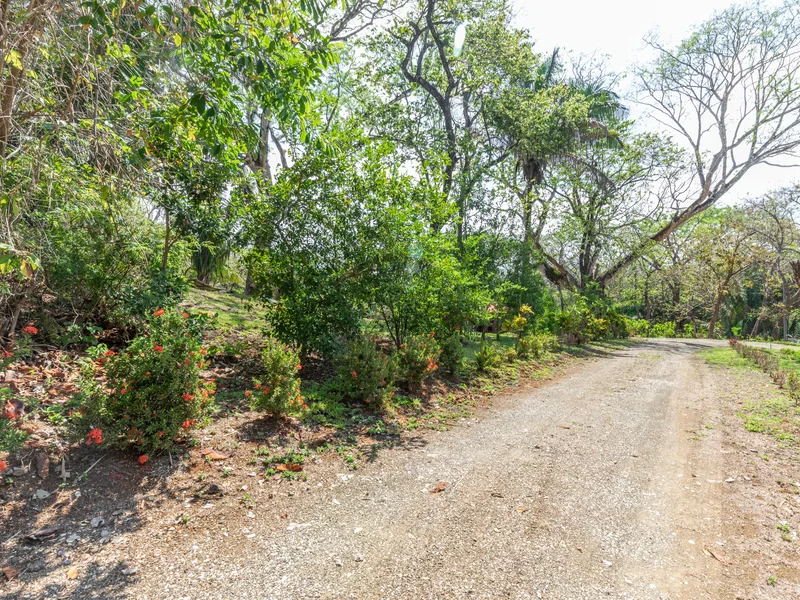 Land For Sale in Nosara, photo 2