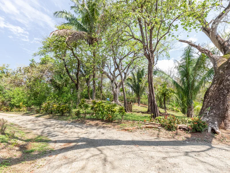 Land For Sale in Nosara, photo 3