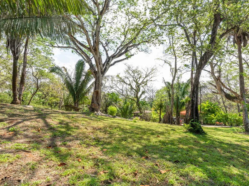 Land For Sale in Nosara, photo 5