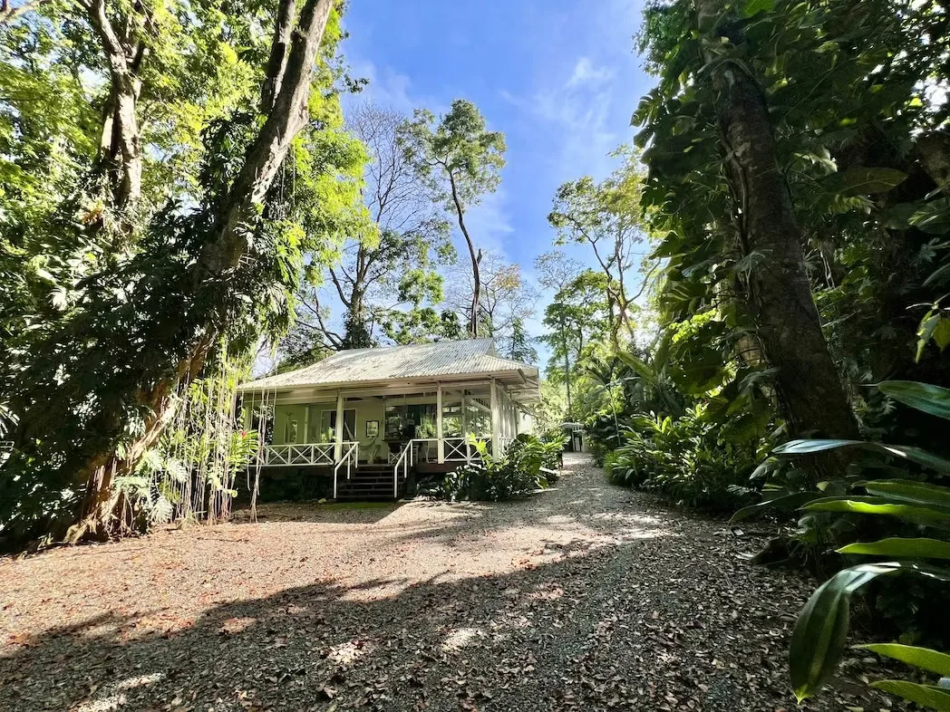 – This house is for sale in the heart of Cocles, just a few steps from the beach!, photo 14