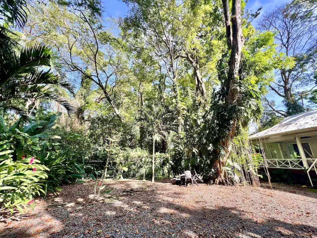 – This house is for sale in the heart of Cocles, just a few steps from the beach!, photo 15
