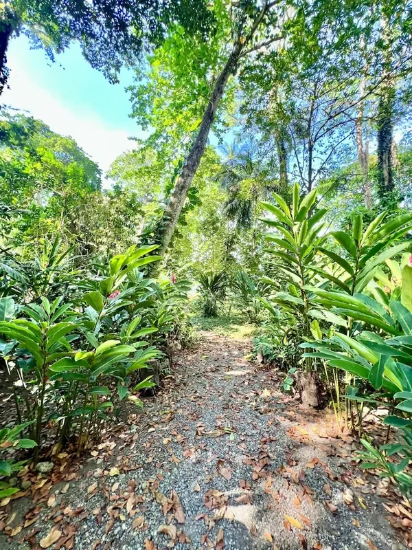 – This house is for sale in the heart of Cocles, just a few steps from the beach!, photo 16