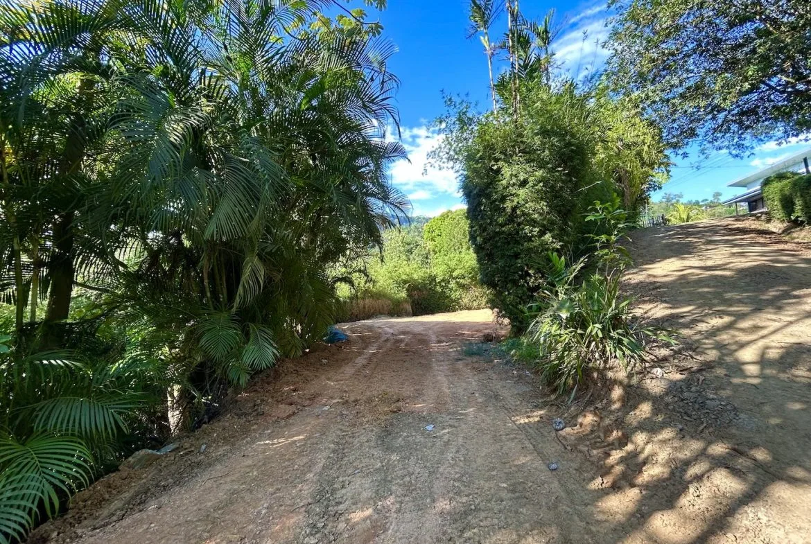 BUILDING PROPERTY WITH MOUNTAIN VIEWS NEAR TO THE TOWN, IN PLAYA HERMOSA – 0.13 ACRES, photo 6