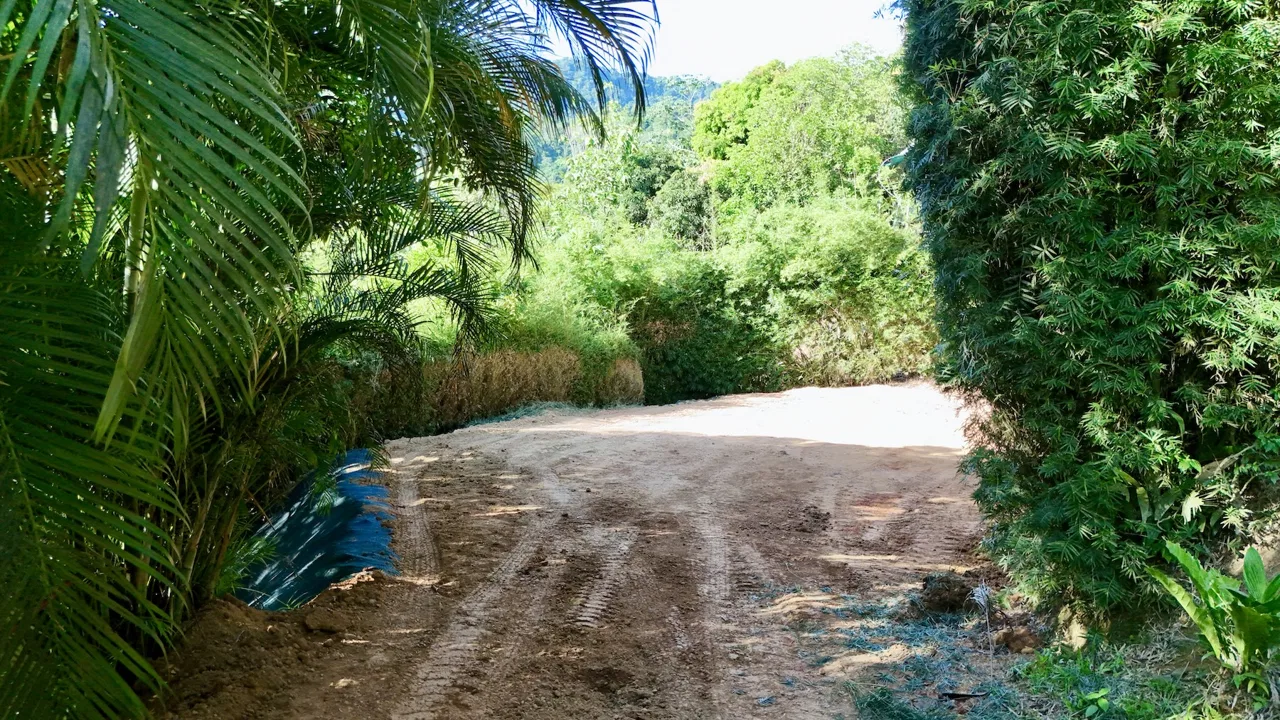 BUILDING PROPERTY WITH MOUNTAIN VIEWS NEAR TO THE TOWN, IN PLAYA HERMOSA – 0.13 ACRES, photo 7