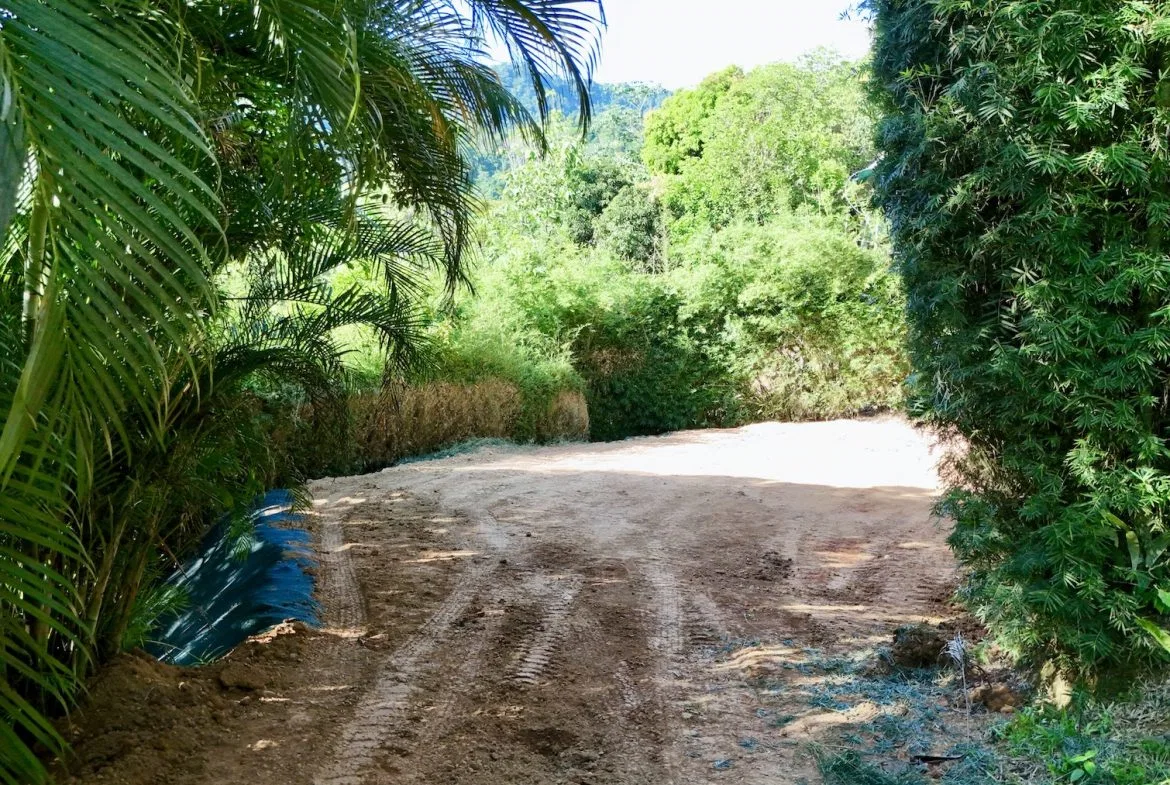 BUILDING PROPERTY WITH MOUNTAIN VIEWS NEAR TO THE TOWN, IN PLAYA HERMOSA – 0.13 ACRES, photo 8