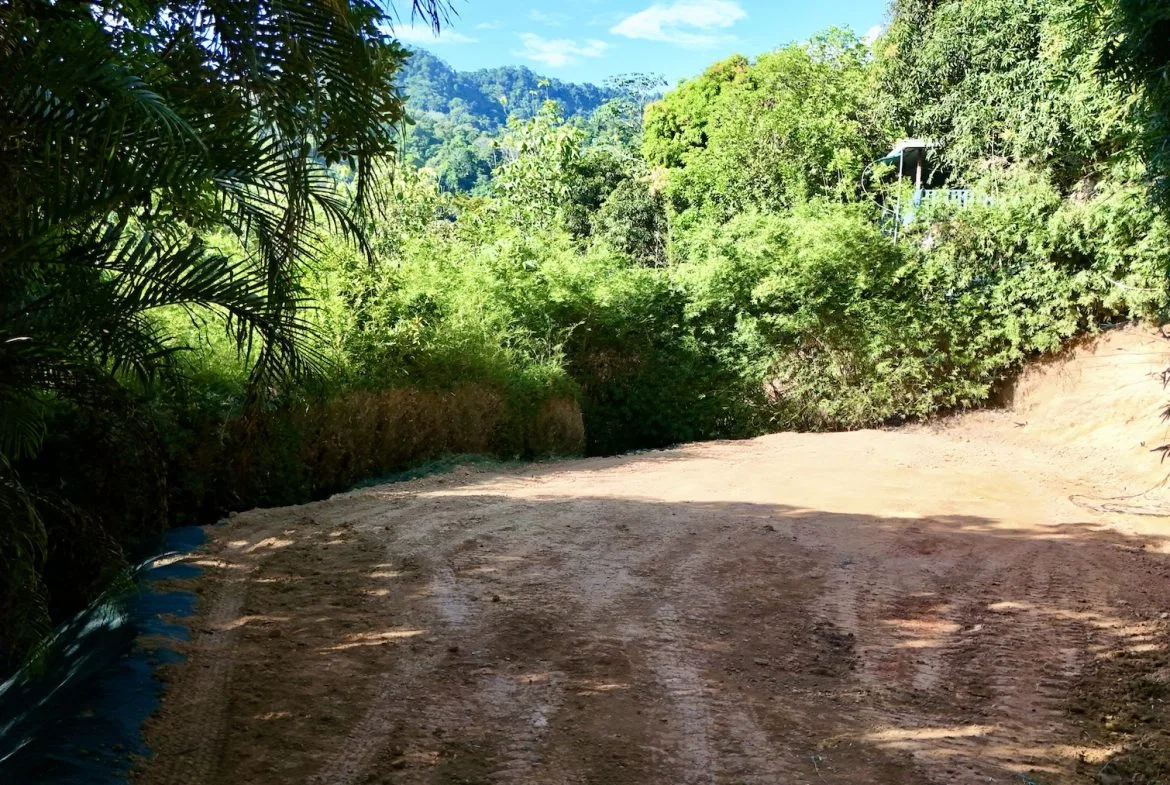 BUILDING PROPERTY WITH MOUNTAIN VIEWS NEAR TO THE TOWN, IN PLAYA HERMOSA – 0.13 ACRES, photo 10