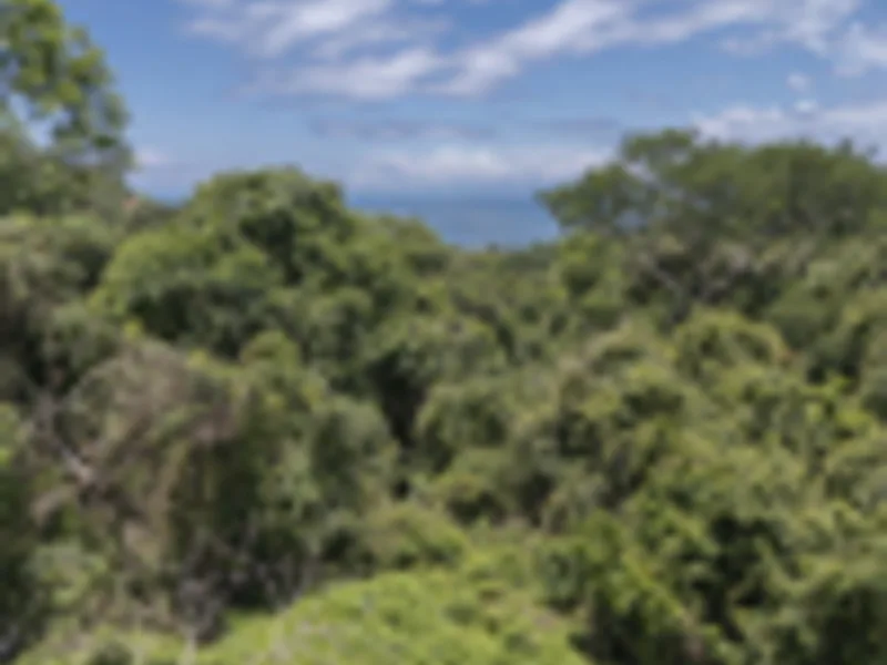 Land For Sale in Delicias