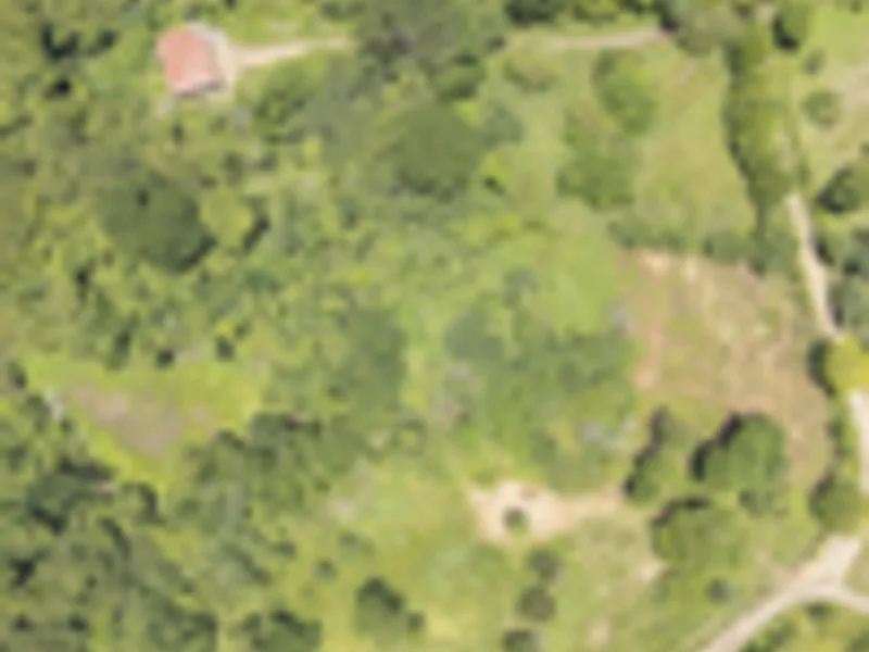Land For Sale in Delicias, photo 2