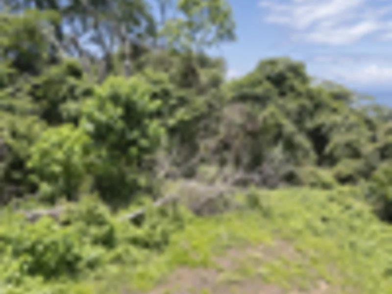Land For Sale in Delicias, photo 11
