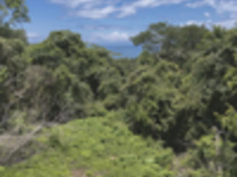 Land For Sale in Delicias, photo 12