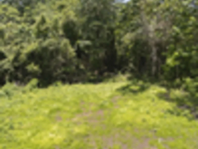 Land For Sale in Delicias, photo 13