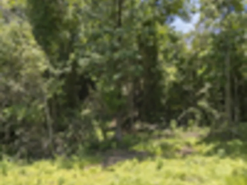Land For Sale in Delicias, photo 14