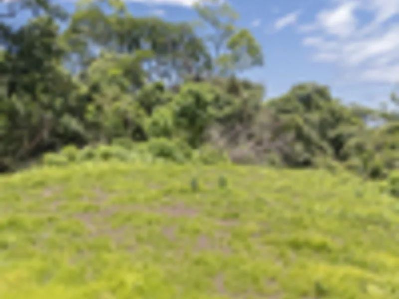 Land For Sale in Delicias, photo 15