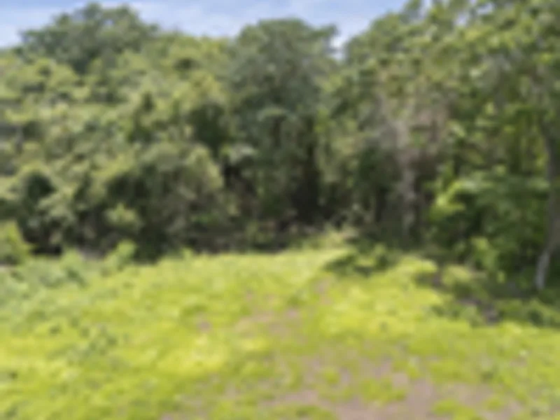 Land For Sale in Delicias, photo 3