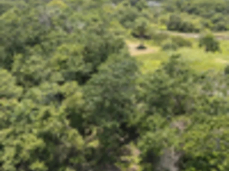 Land For Sale in Delicias, photo 4