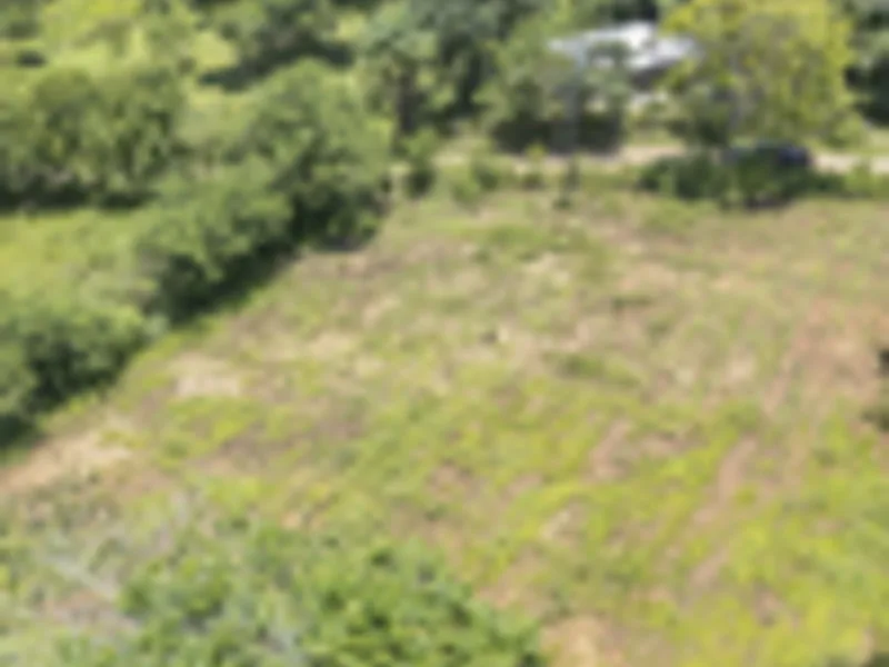 Land For Sale in Delicias, photo 5