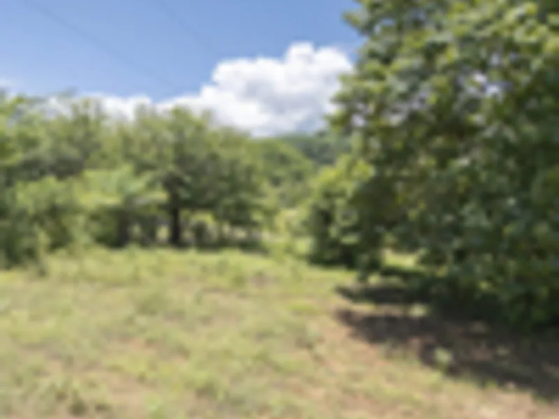 Land For Sale in Delicias, photo 6