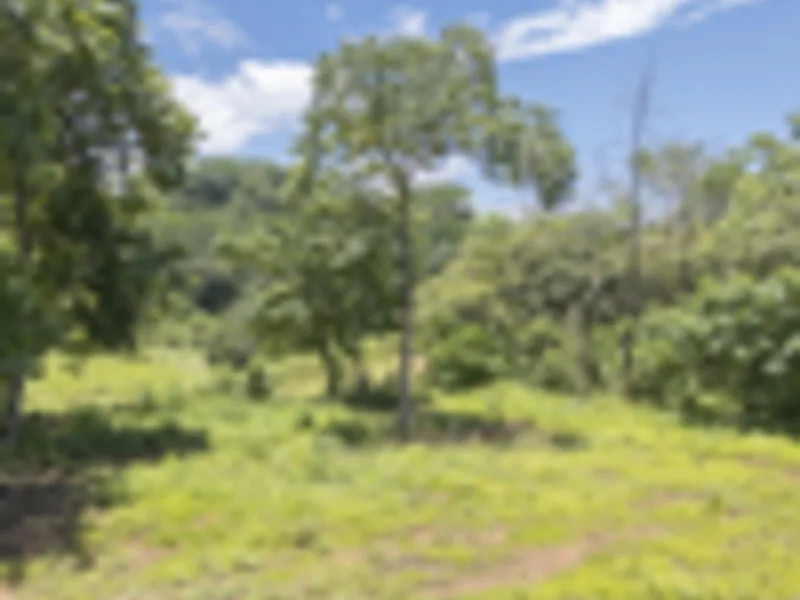 Land For Sale in Delicias, photo 7