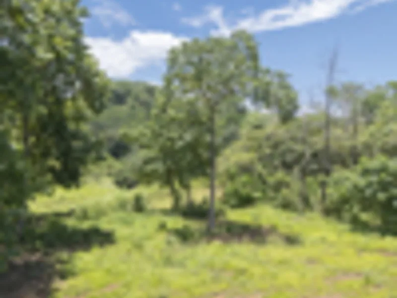 Land For Sale in Delicias, photo 8