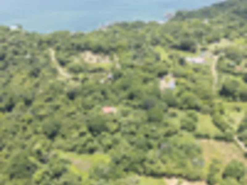 Land For Sale in Delicias, photo 9