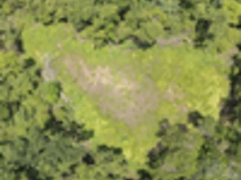Land For Sale in Delicias, photo 10