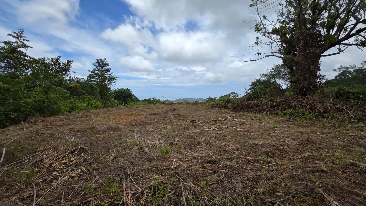 LOT WITH OCEAN AND MOUNTAIN VIEWS, IN OJOCHAL – 0.29 ACRES