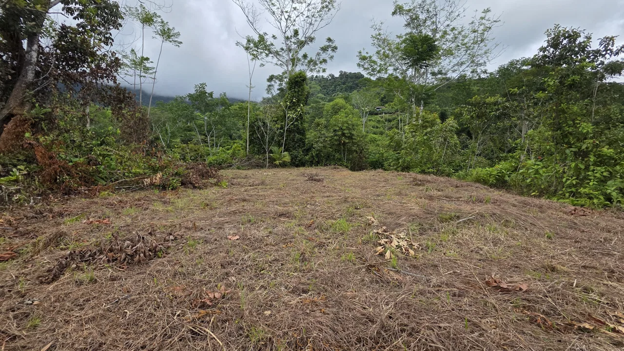 LOT WITH OCEAN AND MOUNTAIN VIEWS, IN OJOCHAL – 0.29 ACRES, photo 2