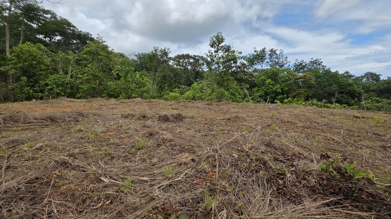 LOT WITH OCEAN AND MOUNTAIN VIEWS, IN OJOCHAL – 0.29 ACRES, photo 3