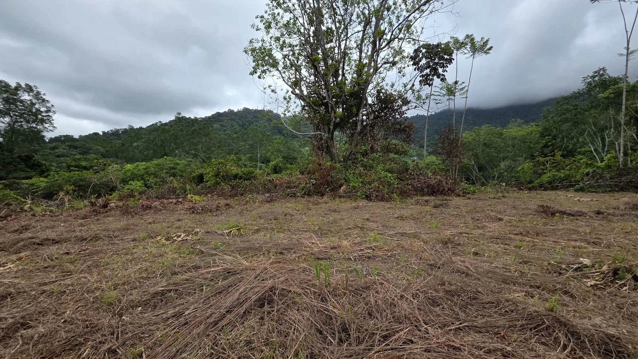 LOT WITH OCEAN AND MOUNTAIN VIEWS, IN OJOCHAL – 0.29 ACRES, photo 4