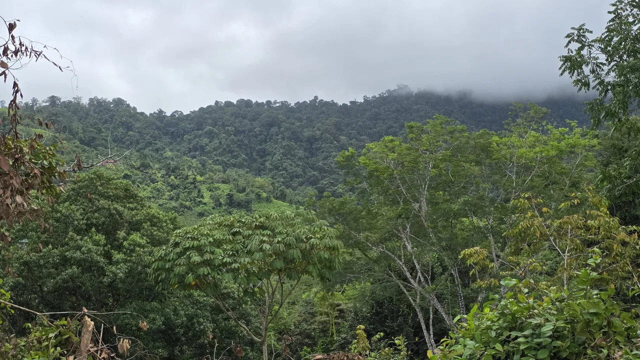 LOT WITH OCEAN AND MOUNTAIN VIEWS, IN OJOCHAL – 0.29 ACRES, photo 9