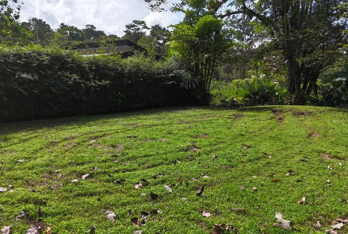BUILDING PROPERTY READY TO BUILD, IN OJOCHAL – 0.19 ACRES, photo 2