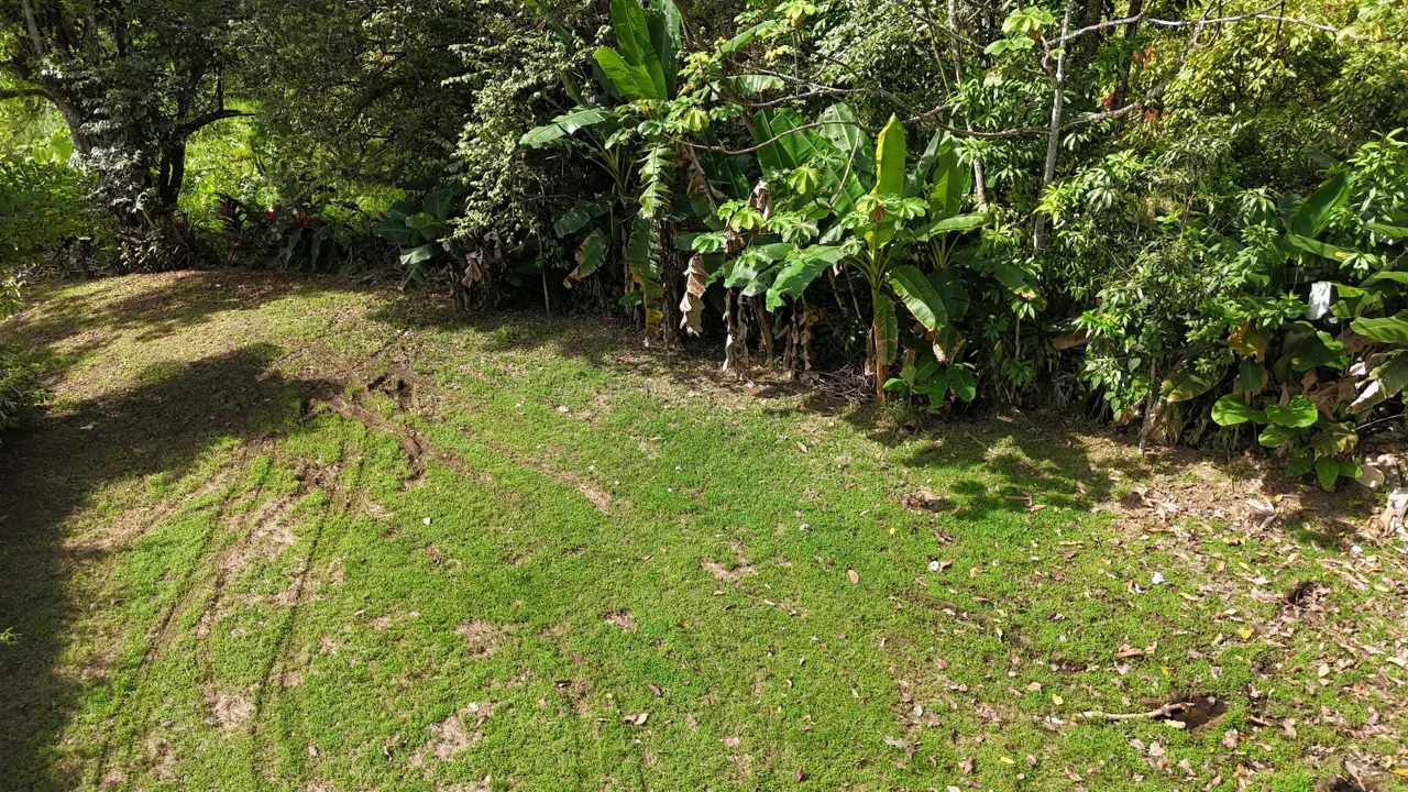 BUILDING PROPERTY READY TO BUILD, IN OJOCHAL – 0.19 ACRES, photo 17