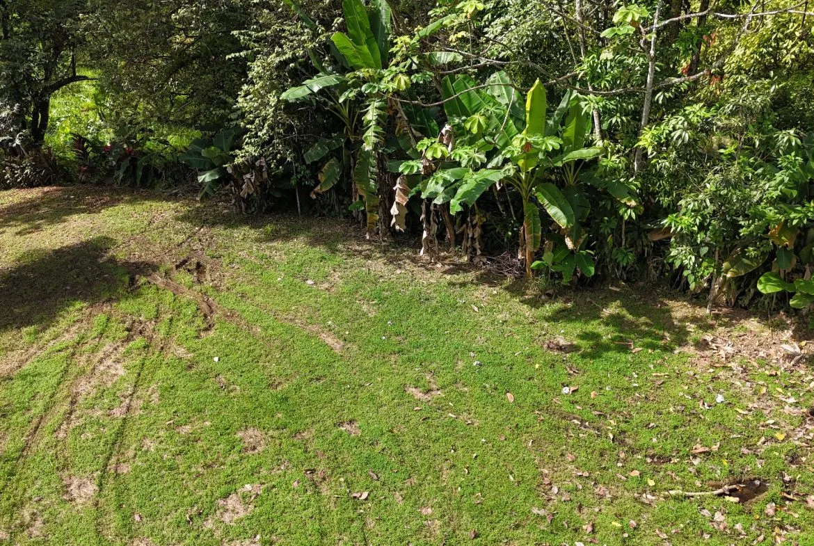 BUILDING PROPERTY READY TO BUILD, IN OJOCHAL – 0.19 ACRES, photo 18