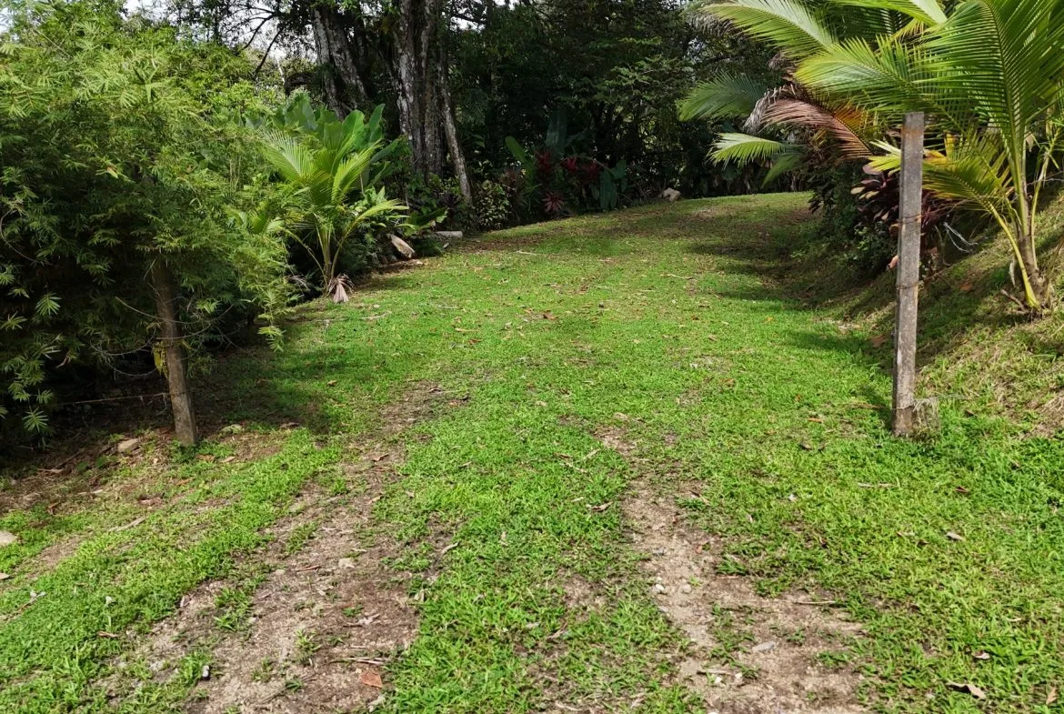 BUILDING PROPERTY READY TO BUILD, IN OJOCHAL – 0.19 ACRES, photo 8