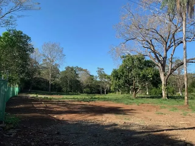 Disponibles 6 quintas, cada una con 5.000 m², ubicadas a solo 5 minutos a pie del centro de Miramar.