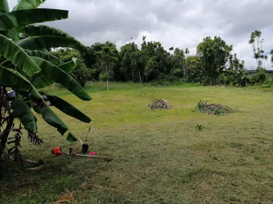 Se ofrece en venta un terreno estratégicamente ubicado en LA Cocaleca  en Palmares de Alajuela  - Venta en Palmares