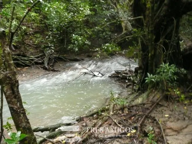 Finca Santa Maria, photo 2